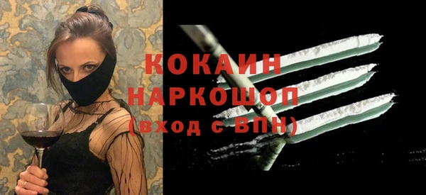 гашик Аркадак