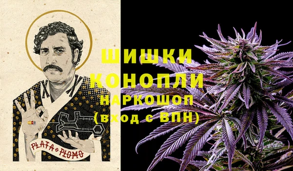 гашик Аркадак