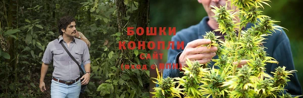 гашик Аркадак