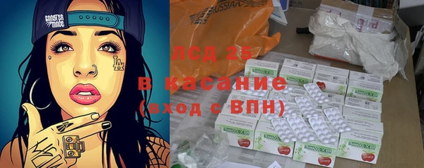 гашик Аркадак