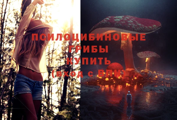 jwh Армянск