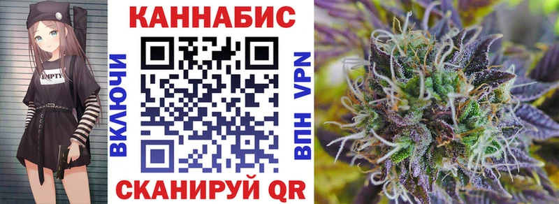 Купить где  Малоярославец  Конопля индика 